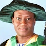 Professor Sunusi mamman