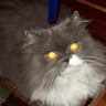 Тетяна Корзинова