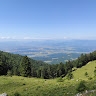 Kaja Grašič