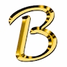 Brocha Chana Stern