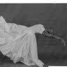 Tina Williams
