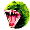 Smog Moss
