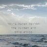 יעל אגסי