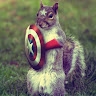 Captain Squirrel