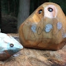 Spirit Bird Studio7