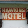 Peter Hawkins