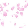 OhSakura  