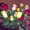 wanda flowers