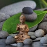 Indushree V D