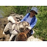 chia chun tsou