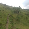 Wilfred Musinguzi