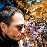 vincenzo cestaro