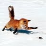 Vitalija  