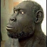 Alego julius