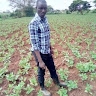 Jimmy Alal Okurut
