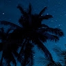 ImRaj  