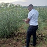 Brian Odaga