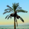Myriam Haddouk