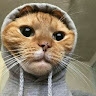 Felix Theuri