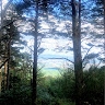 Estibaliz Jarauta
