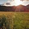 Jasna R