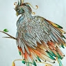 Samy Hargas