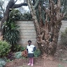 Simon Karukwa Muturu