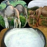 0sman mohamed