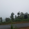 Douglas Mutua
