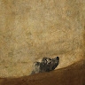 Patrick Zhao