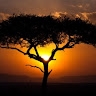 Justus Otieno