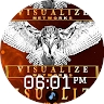 Visualize NetworksLLC