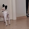 Tina  