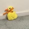 Kevin Ji