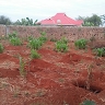 Titus Maweu