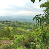 Collince Ogada