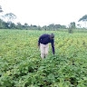 joseph muyingo