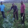 Robert NSHIZIRUNGU