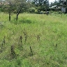 Ouma Oyenga