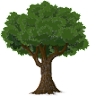 PODILWOOD  