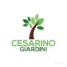 Cesarino Giardini