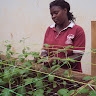 Akatukunda Nosi