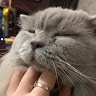 Дария  