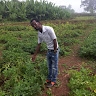 girma abebe