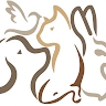 2nd Street Animal Hospital