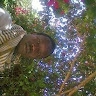 Alex Nibo