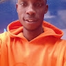 mido calvis