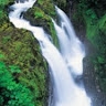 HEALING MOUNTAINS MINISTRIES INTL