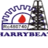 Project Management Team Harrybeat
