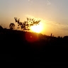 mercy chege